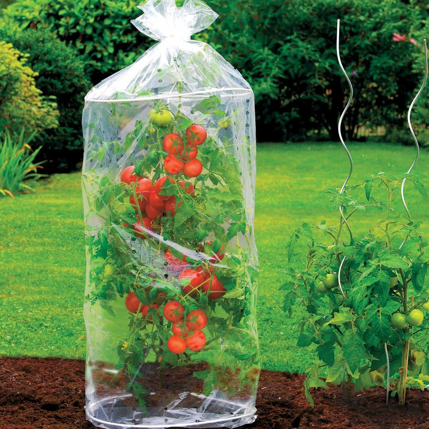 Miniatuur 1