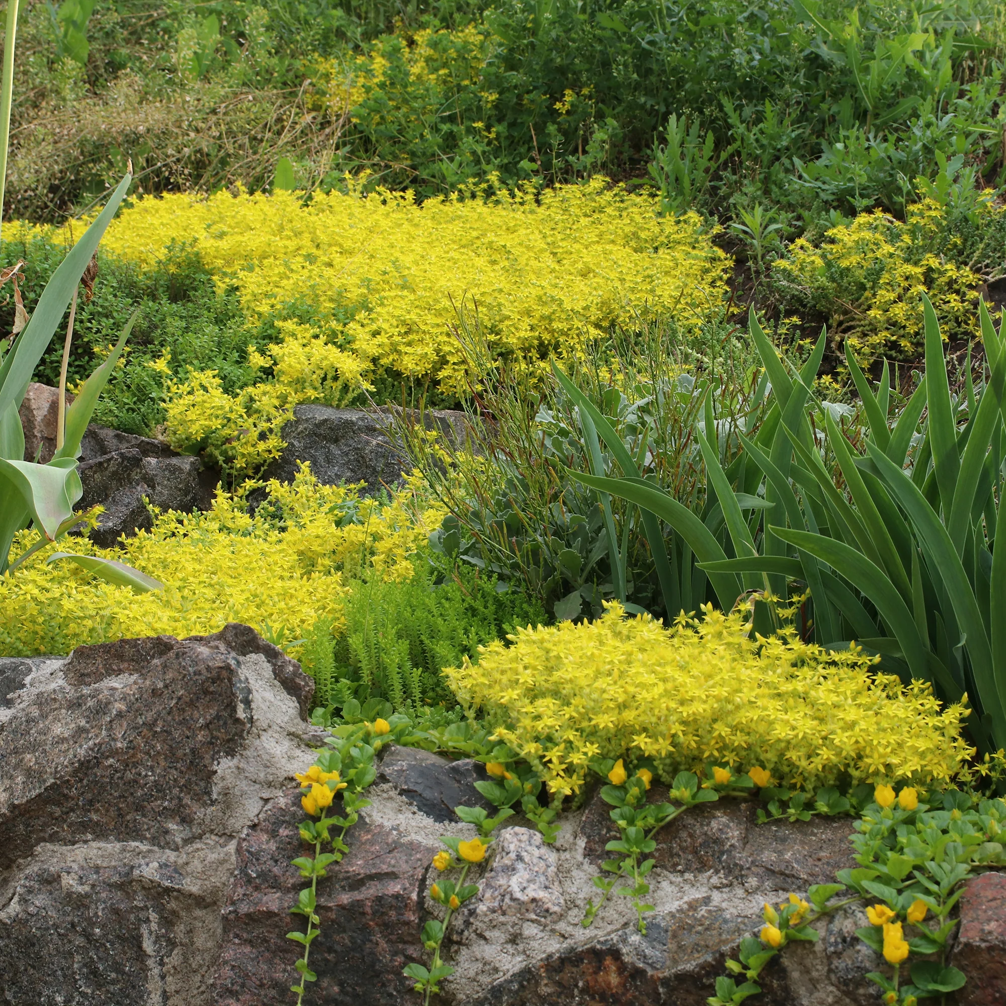 Miniatuur 1