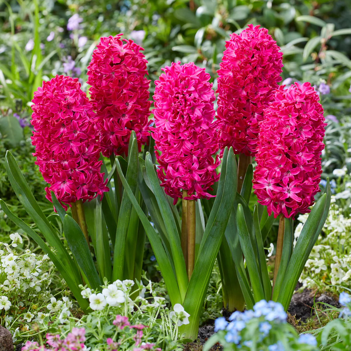 Productafbeelding 5